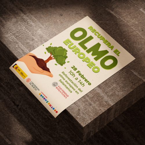 cartel-olmo-6